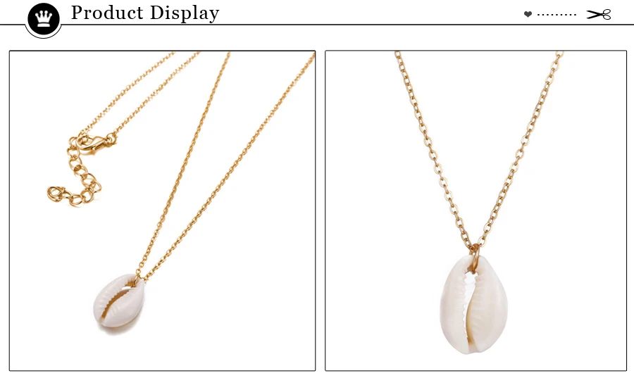 shell3 (1)
