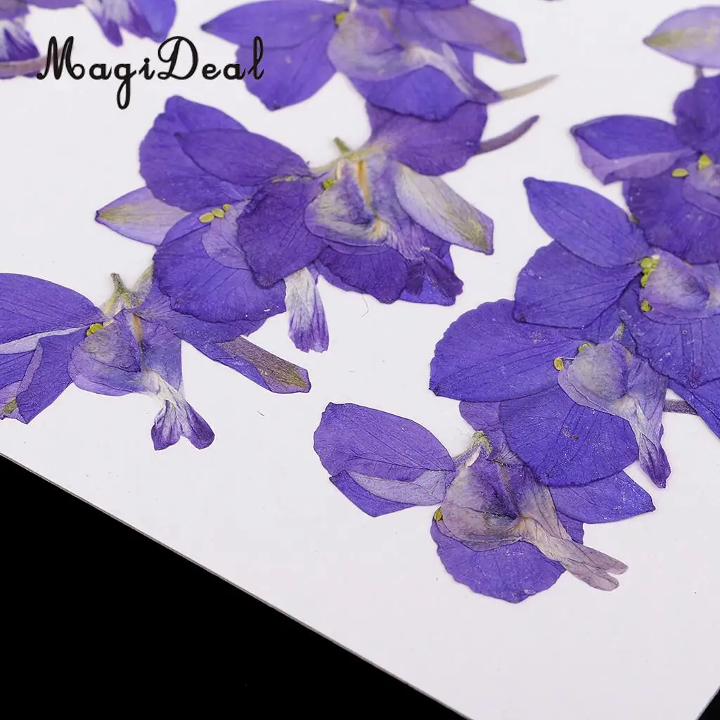 10 / 20Pcs Beautiful Real Pressed Rose Petal Babysbreath Flowers Dried Flowers for Art Craft Scrapbooking DIY Resin Jewelry
