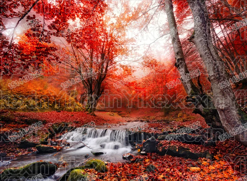

Full Round Drill 5D DIY Diamond Painting "Autumn forest" Embroidery Cross Stitch 5D Home Decor Gift