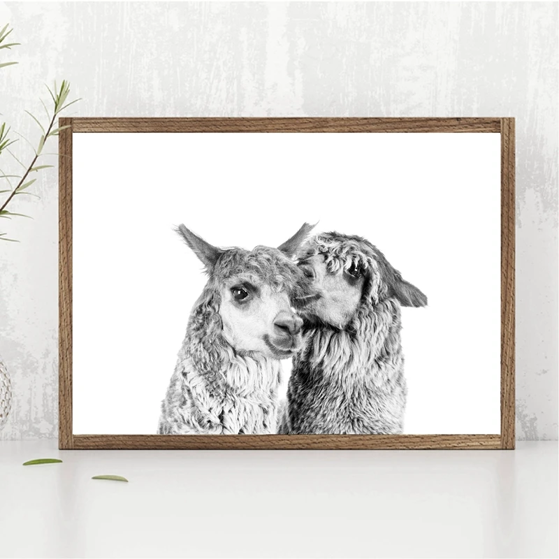 50x70cm No Frame YQQICC Alpaca Poster Canvas Art Painting Animal Prints Wall Art Nursery Decorative Picture Llama Black White Wall Kids Room Decor