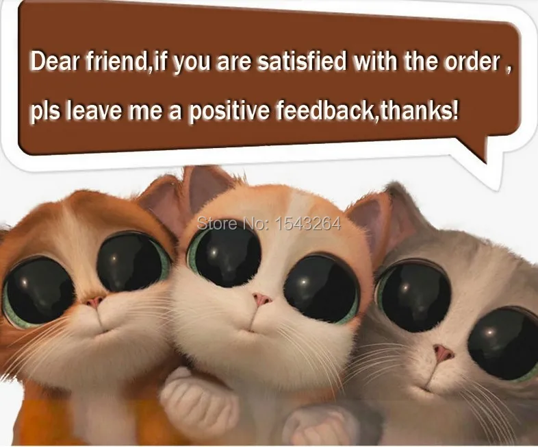 5 STARS