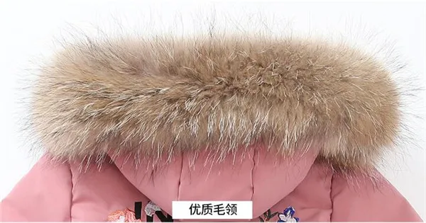 QQ20181204114344