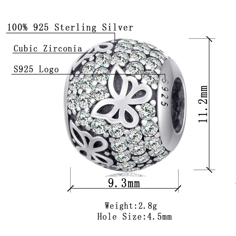 CWS0041.02
