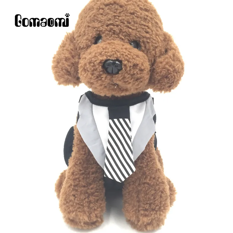 Dog Tie Out Collar Or Harness Dog Tie Out Collar Or Harness