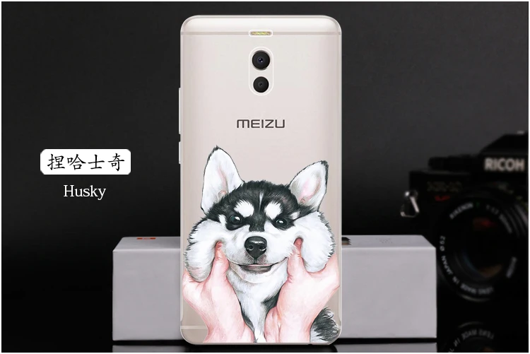  Husky
