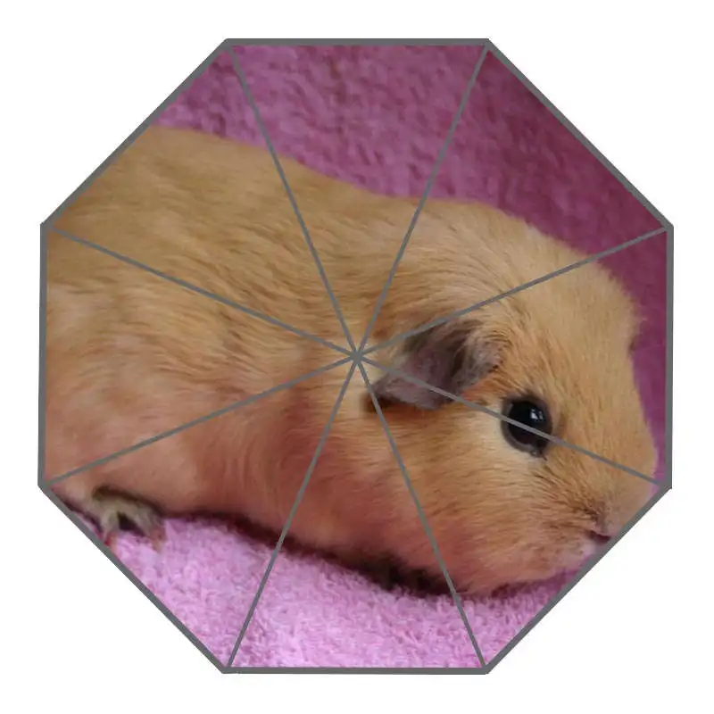 Хороший морской свинки на заказ солнечный и дождливый зонтик дизайн портативный модные стильные полезные Зонты хороший подарок - Цвет: Зеленый