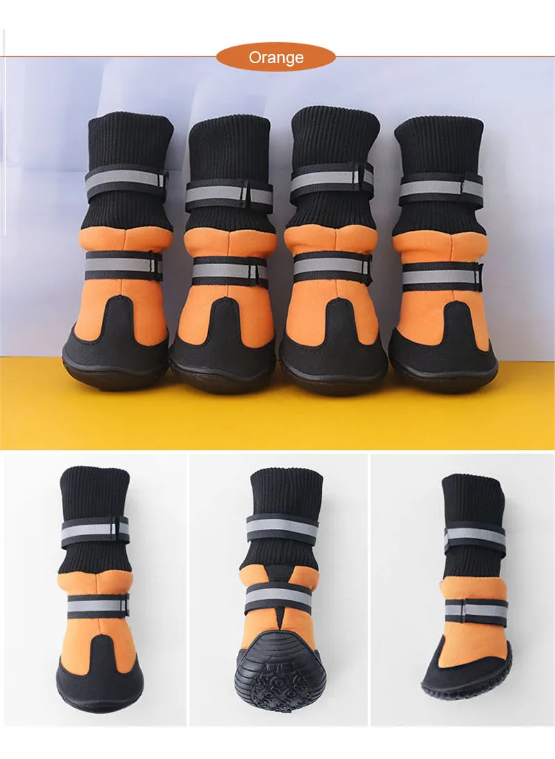 shoes dog (2)