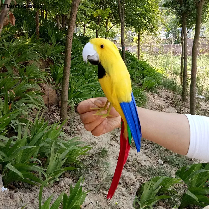 simulation bird parrot hard model large 30cm yellow&blue feathers parrot prop,home garden decoration gift s1165