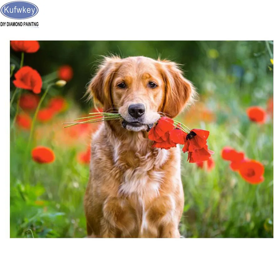 

Kufwkey 3d diamond embroidery poppy dog animal,5d diamond painting full diamond mosaic pictures of rhinestones cross-stitch kits