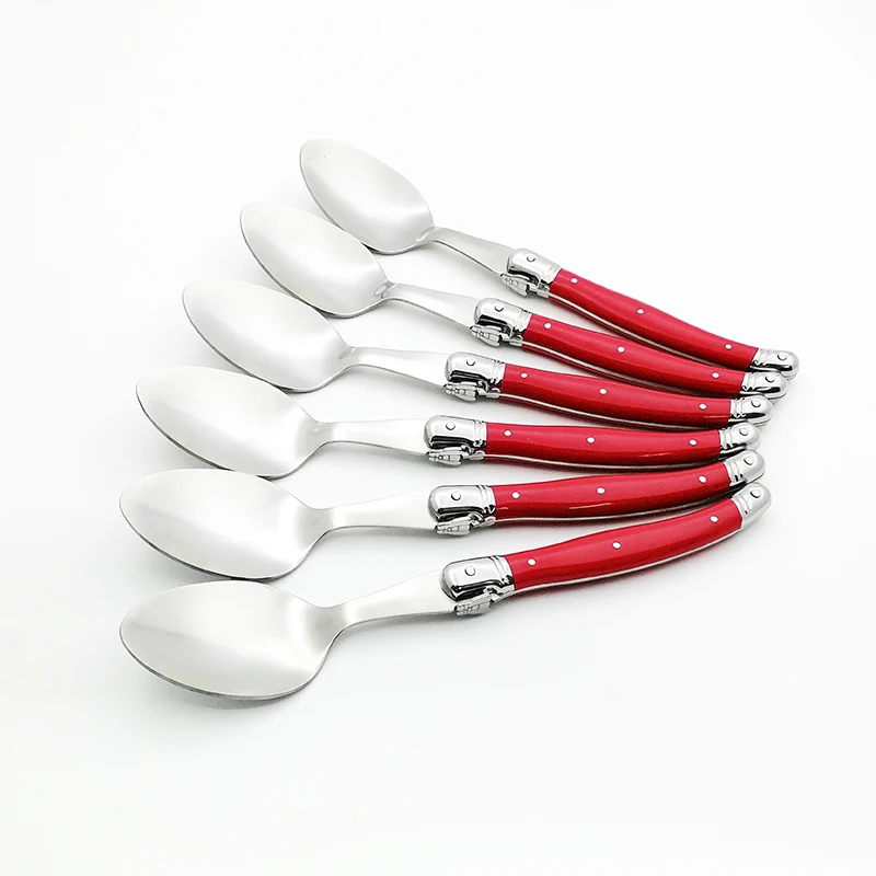 laguiole dinner spoon set (6)