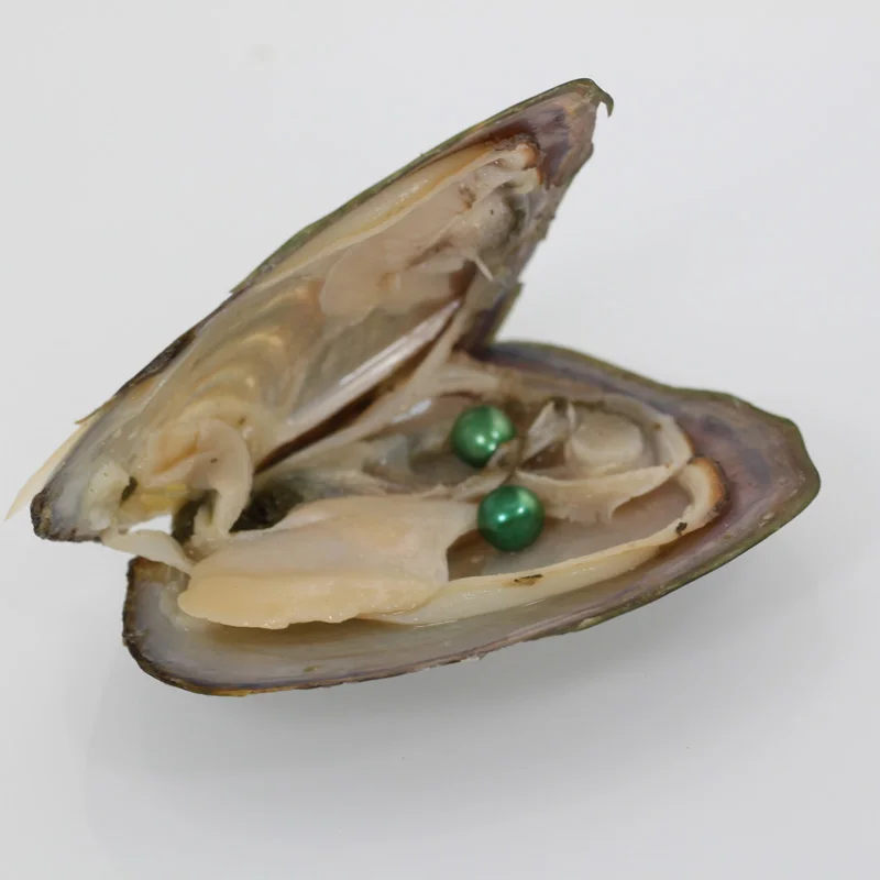 Popular Dark Green Double Pearls In One Freshwater Oyster 67mm Aaa