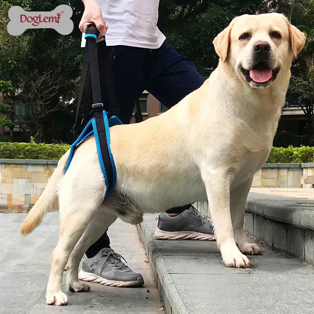DogLemi Dog Lift Harness for Back Legs Pet Support Sling Help Weak Legs