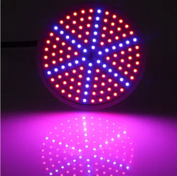 

Grow Light E27 LED Full Spectrum Grow Light 15 Watt Plant Growing Light Bulb for Hydroponic Greenhouse Plant and Indoor Gardens