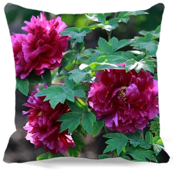 

Blooming Rose red peony flower pattern Square Pillow Case Cotton polyester Chair Sofa Home Decorative 16" 18" 19" 9 style