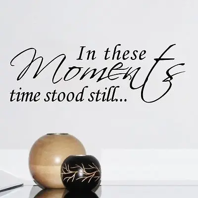 

In These Moments Time Stood Still Wall Quote Words Decals Vinyl Sticker Home Art Famous Quote Wall Stickers
