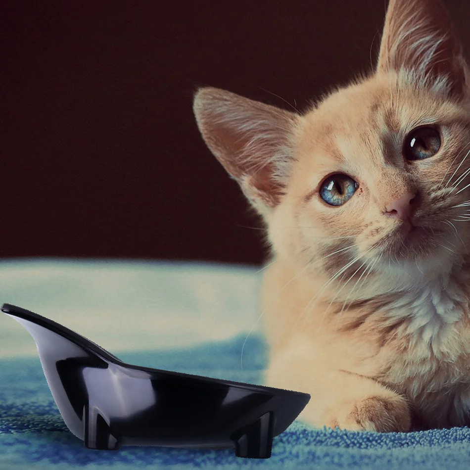 bowl for cats