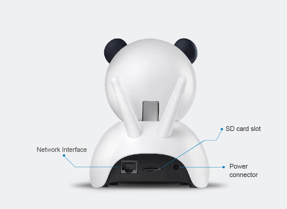 panda04