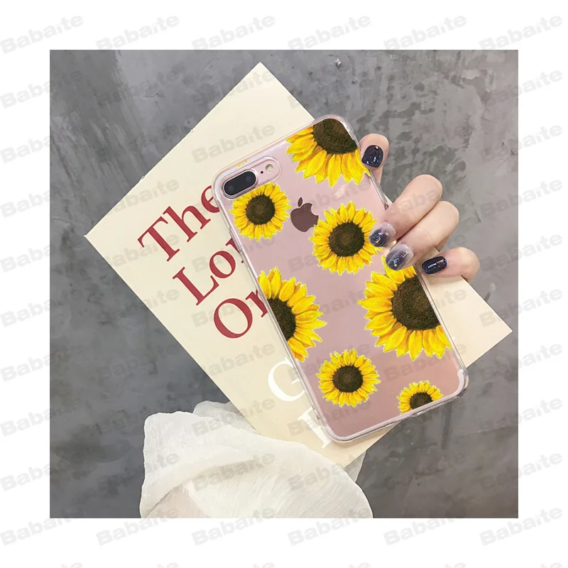 sunflower daisy 
