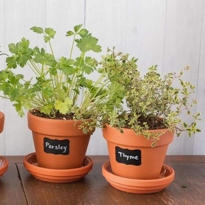 100Pcs Blackboard Sticker Reusable Kitchen Label Stickers Jam Jar Labels Organizer Chalkboard Wall Sticker Board Decals Oily Pen