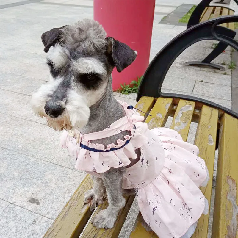 Летнее платье для Собаки Одежда для домашних животных юбка-пачка Милая Одежда для девочек Одежда для собак Свадебный костюм одежда Платья для животных товар для собак