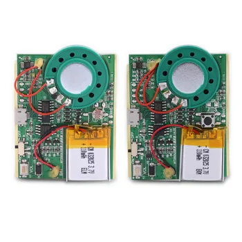 

USB Music Sound Voice Recording Module Chip 1W with Rechargeable Lithium Battery