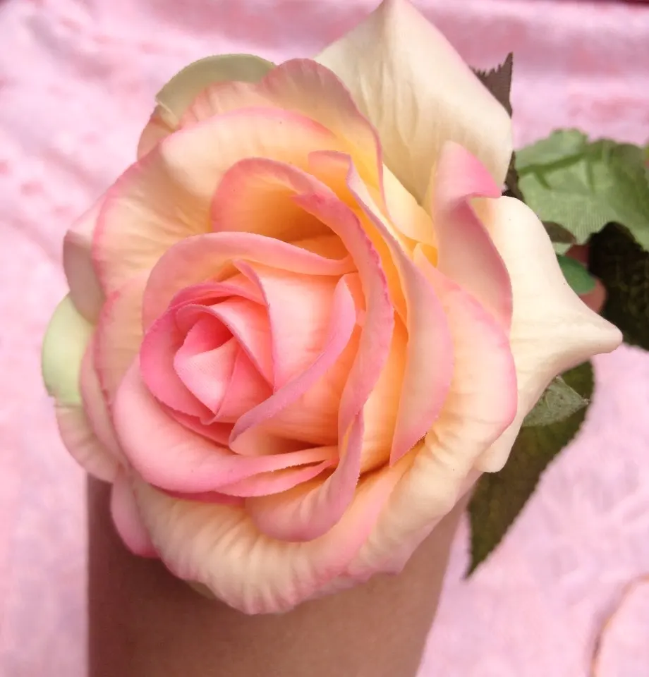 UT8PpoCXF8XXXagOFbX6