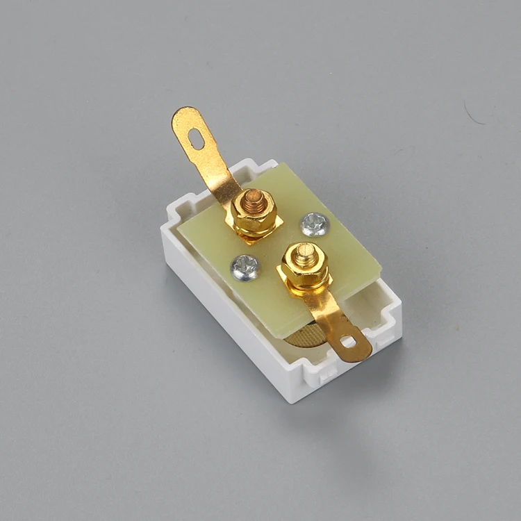 Blunt Speaker Plug slot pic 3