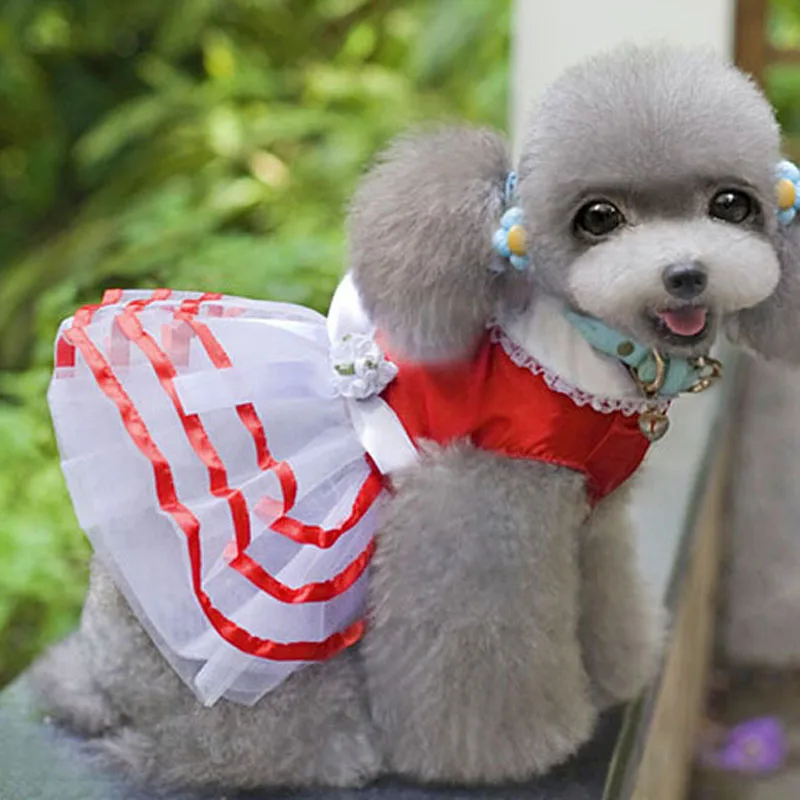 clothes for dogs Dresses skirt Wear for Pets Dog Puppy Cat new spring