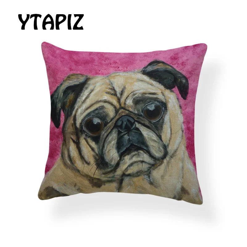 AB9166 (10) SharPei