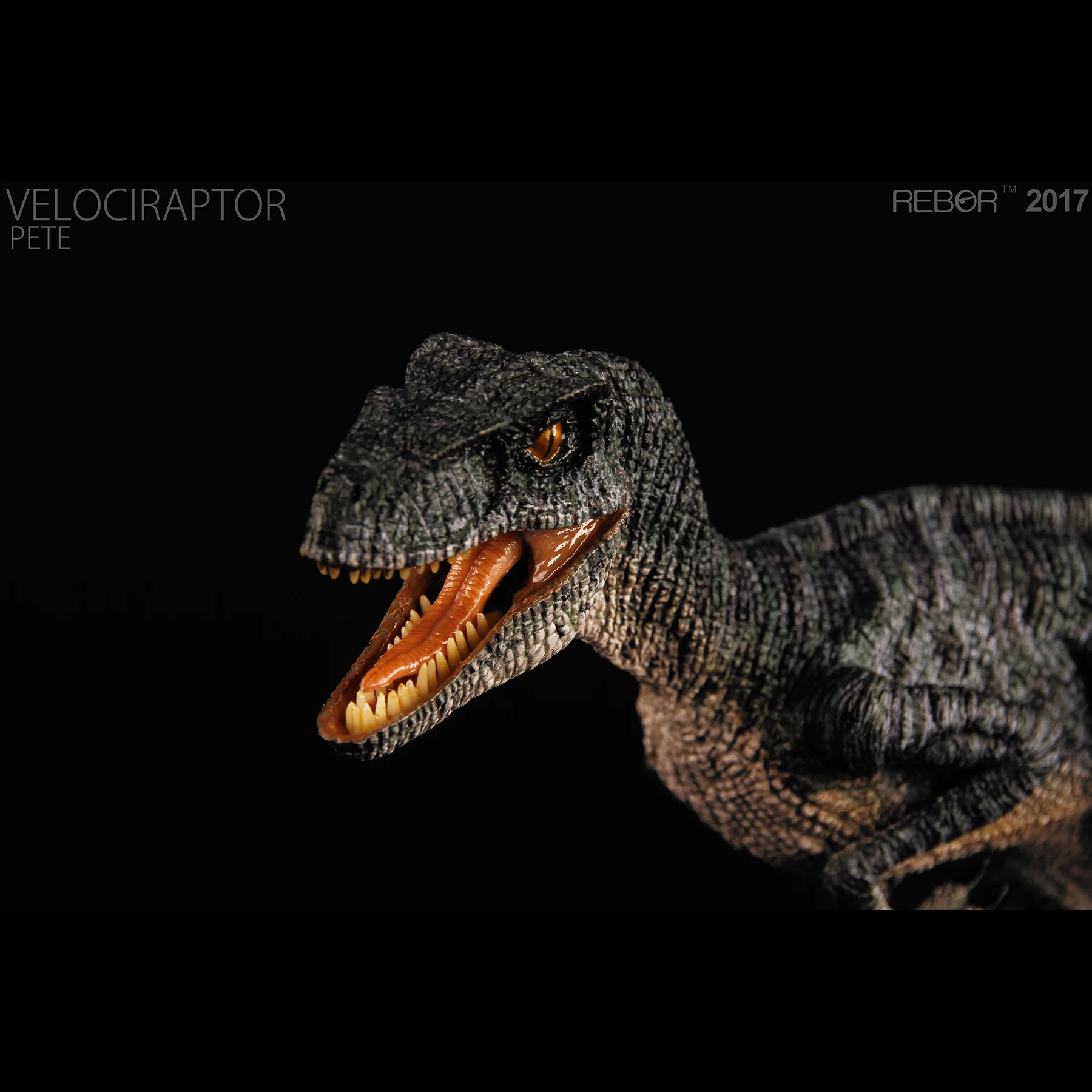 Ребор модель динозавра Палеонтология коллекция 24 см Велоцираптор бегущий Пита с сцена платформа статуя для поклонников подарок