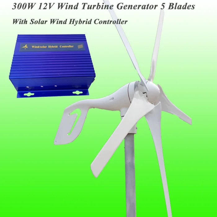 Hot Selling Rated 12V 300W Wind Turbine Generator With 5 Blades & Cost
