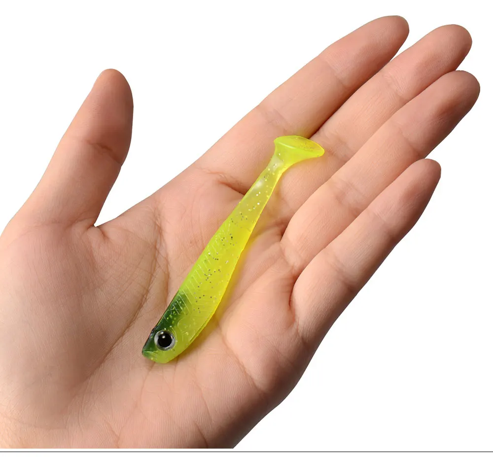 MB--Eye-Fish_13