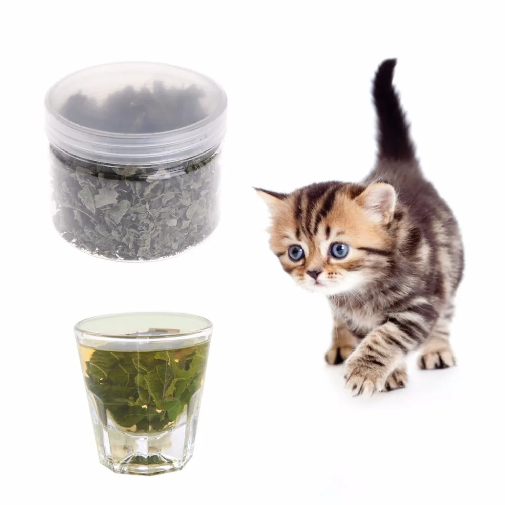 1 Bottle Pet Cat Natural Silvervine Leaves Cat Catnip Toy Dried Polygonum Matatabi Toys Flavor Snacks Cat Supplies C42