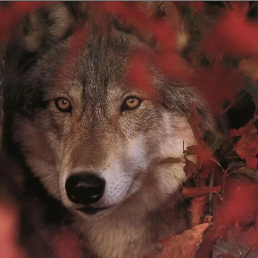 gray wolf diamond painting kits 100% full drill square diamond