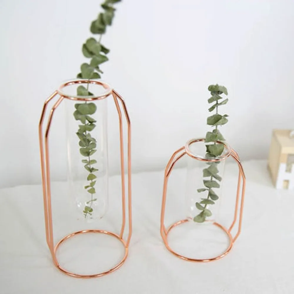 Metal Shelf Glass Vase Hydroponic Glass Pots Flower Vase Decorative Pots Planters Tube Vase