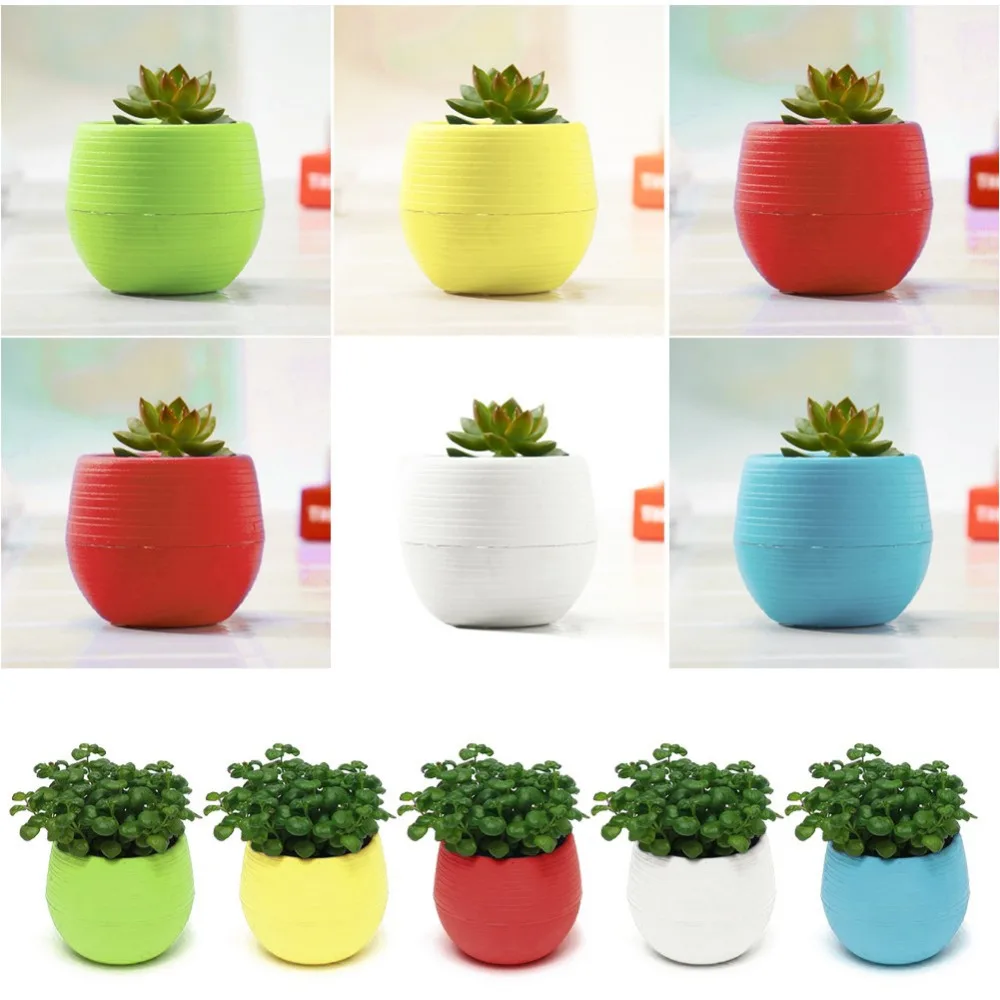 HTB1q5P6PVXXXXbtXXXXq6xXFXXXT