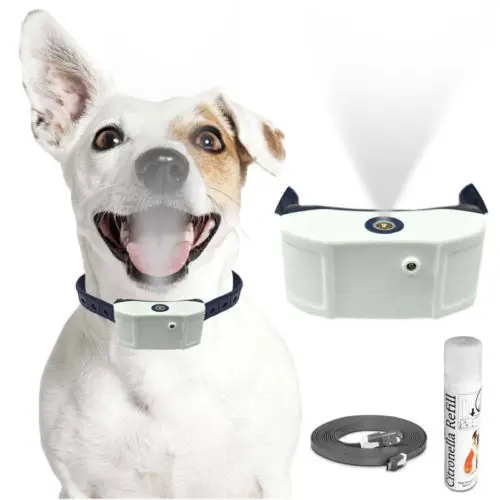

Rechargeable Citronella No Bark Dog Training Collar, No Shock, Water Resistant