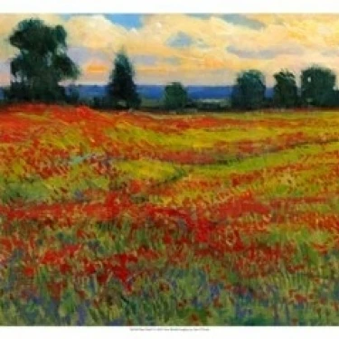 Red Field I Poster Print by Timothy O'Toole (19 x 13)
