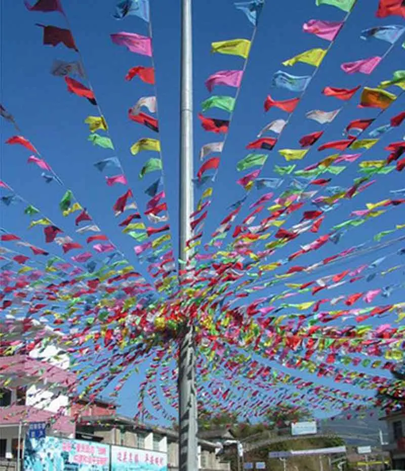 DH_color burgee flag dacron material -5