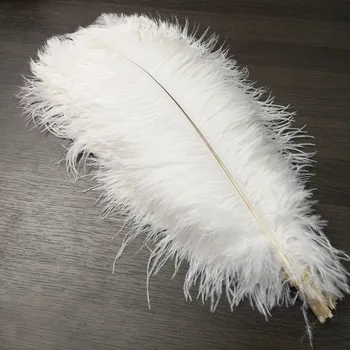 

Brand new 20pcs/lot 16-18inch/40-45CM White High Quality Wedding Decoration Party Plumage Decorative Celebration Free Shipping