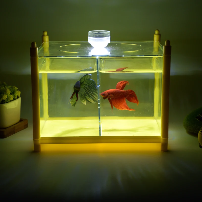 tabletop fish tank