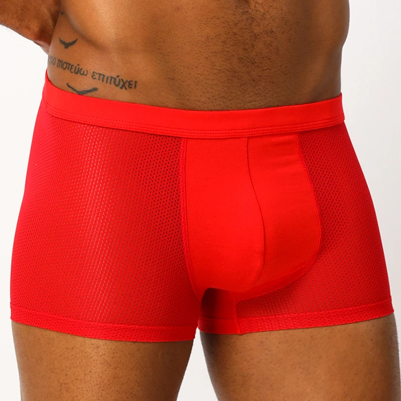 

Male Boxer Men Underwear Sexy Gay Man Underpants Mesh Boxershorts Men's Panty Lingerie Cotton Cueca Male Panties AD128