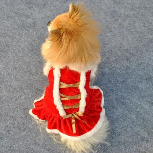 Рождественская красная Золотая лента Собака Платье 1 Рождественский день Рождество классическая юбка Собака красная юбка Новогодняя одежда для животных
