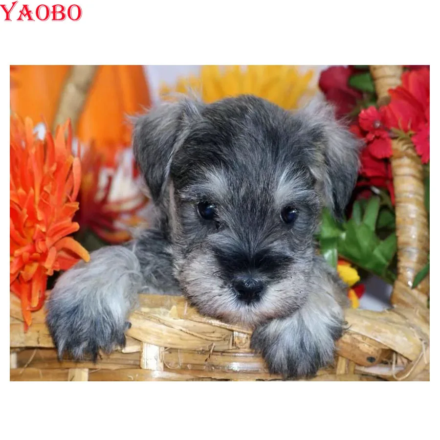 DIY square Round Diamond Painting schnauzer dog Diamond Embroidery