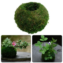 Mousse boule bonsaï plante Pot de fleur oiseau nid bricolage jardinage maison Table décoration fleur Pot jardin décor(China)