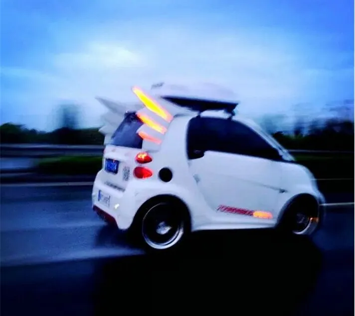 1 пара праймер задний багажник спойлер AERO крыло спойлер для Smart Fortwo 2008 2009 2010 2011 2012 2013 от EMS