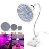 60 126 200 Led Grow Light bulb 360 Flexible Lamp Holder Clip for Plant Flower vegetable Growing Indoor greenhouse hydroponics ► Photo 2/6
