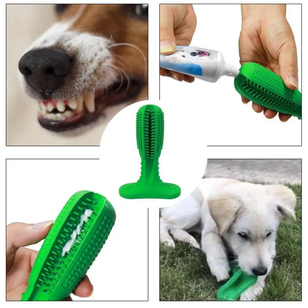 amazon-effective-cleaning-dog-tooth-brush-stick (4)