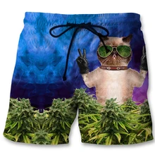 Летние Для мужчин Шорты для женщин положения Cat 3D принтом пляжные Фитнес брюк моды Для мужчин бермуды Гавайи Boardshort Костюмы плюс Размеры 6xl