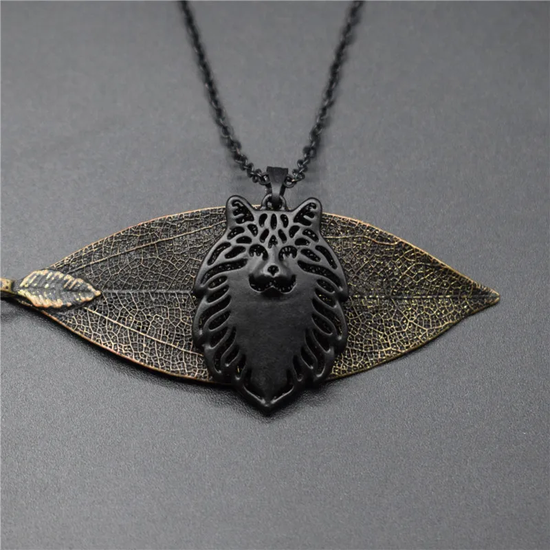 HTB1pxuHXizxK1Rjy1zkq6yHrVXaX